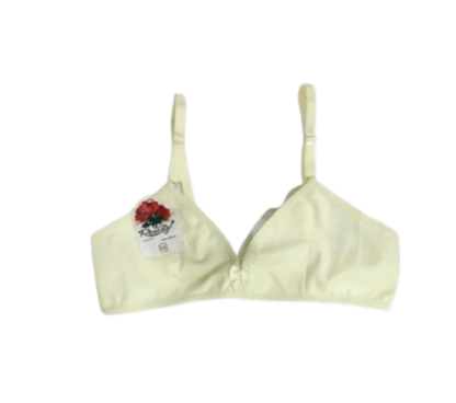 SUTIEN BASICO LISO - TAMANHO P AO G # 580 - ROSASTYL