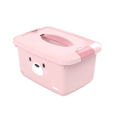 CAIXA ORGANIZADORA - FEMININA - 5,2L #17653 - PLASUTIL