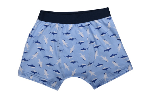 KIT CUECA BOXER- 2 UNIDADES - TAMANHO PP AO GG #7992 - EVERLY